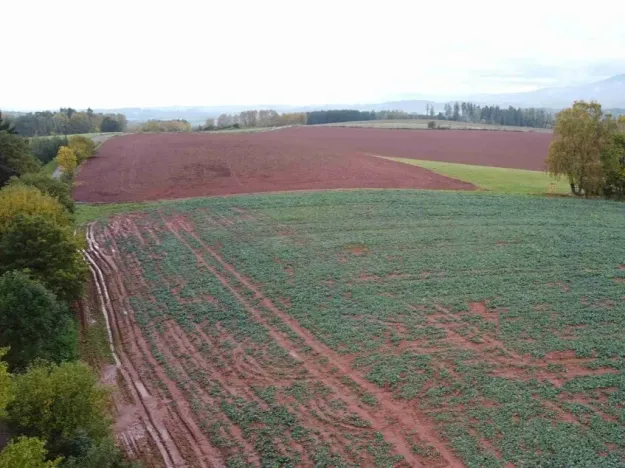 Dražba pole, Staré Buky, 71140 m2