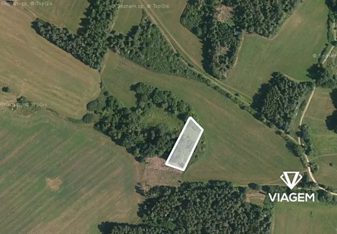 Prodej podílu lesa, Chanovice, 1232 m2