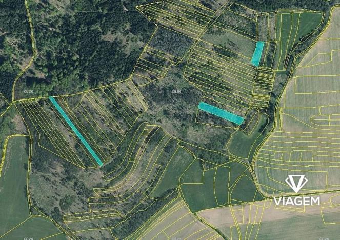 Prodej podílu lesa, Všepadly, 1092 m2