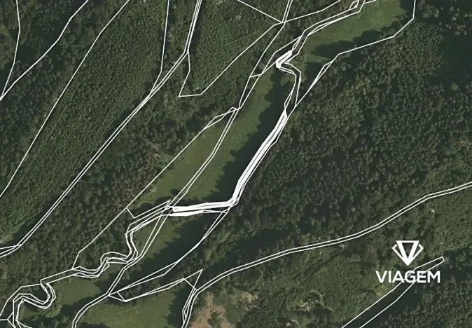 Prodej lesa, Třebovice, 657 m2