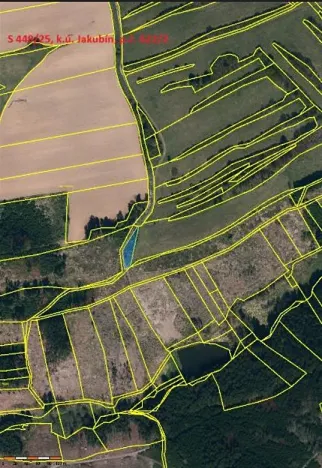 Prodej lesa, Častrov, 886 m2