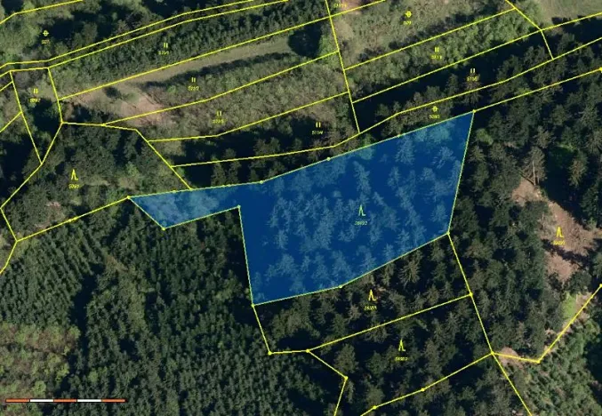 Prodej lesa, Francova Lhota, 5161 m2