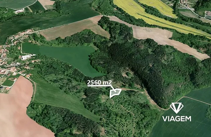 Prodej lesa, Obora, 2560 m2