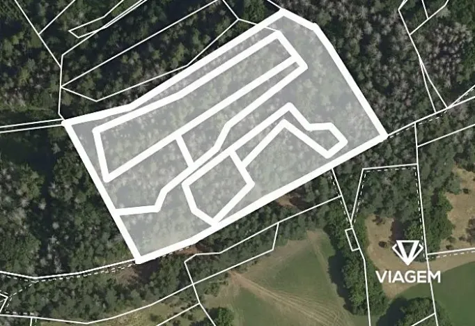 Prodej podílu lesa, Koroužné, 3262 m2