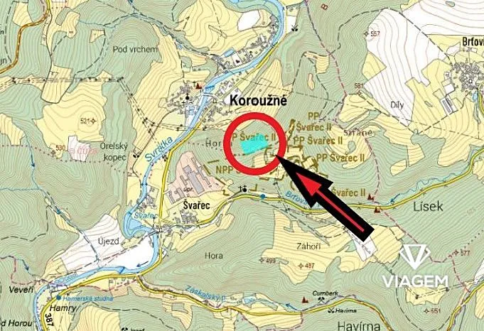 Prodej podílu lesa, Koroužné, 3262 m2