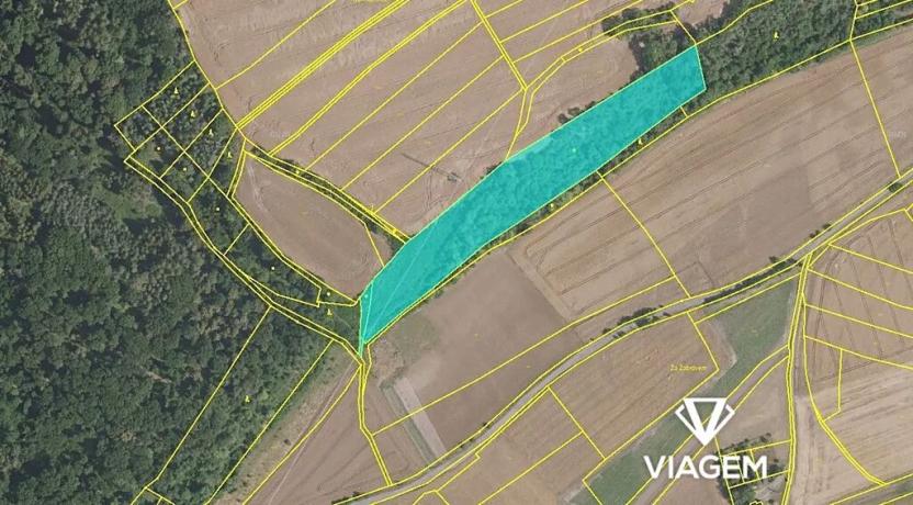 Prodej podílu lesa, Kochánky, 10625 m2