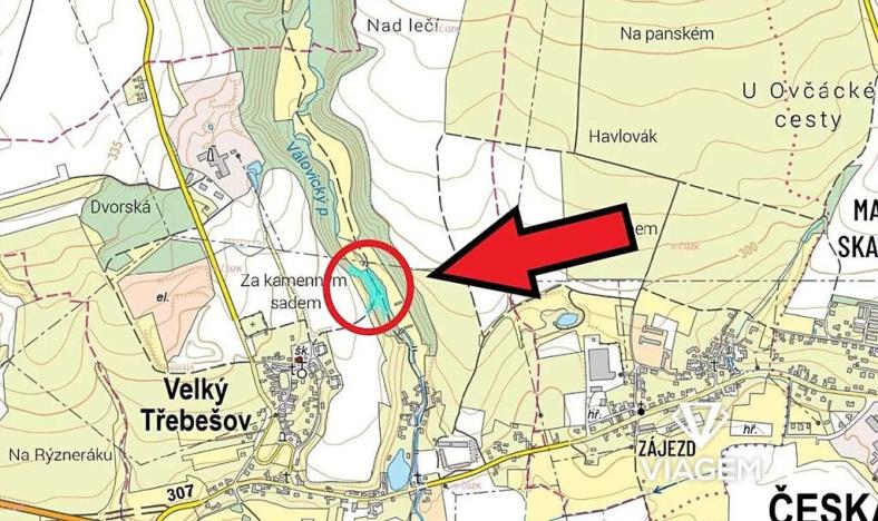 Prodej podílu lesa, Velký Třebešov, 586 m2