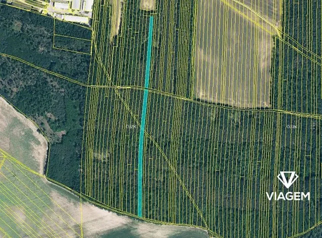 Prodej podílu lesa, Svatobořice-Mistřín, 3211 m2