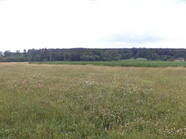 Dražba pole, Roudné, 8259 m2