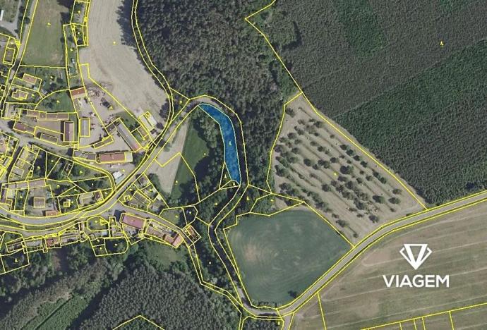 Prodej lesa, Hlohovice, 1712 m2