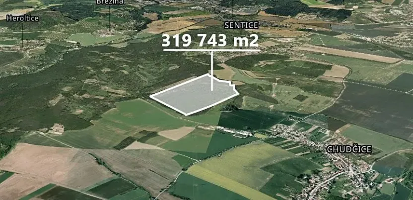 Prodej podílu lesa, Sentice, 23684 m2