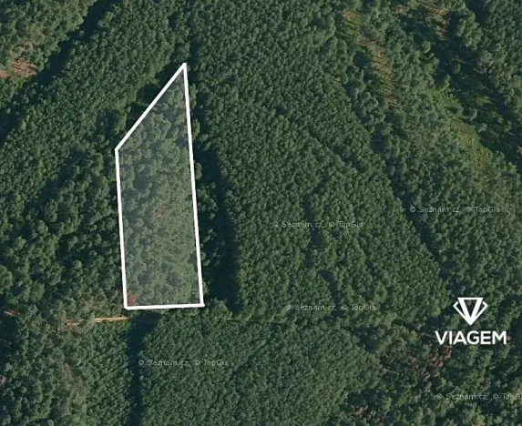 Prodej podílu lesa, Vlastiboř, 1755 m2