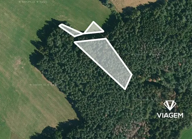Prodej podílu lesa, Zahorčice, 326 m2