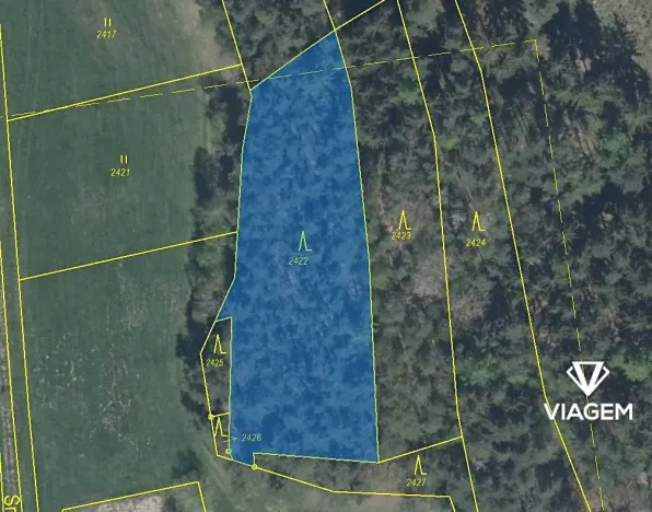 Prodej podílu lesa, Koloveč, 707 m2