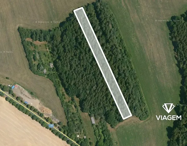 Prodej podílu lesa, Koloveč, 427 m2