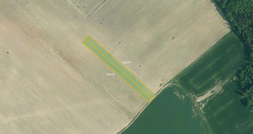 Prodej pole, Olešník, 5978 m2