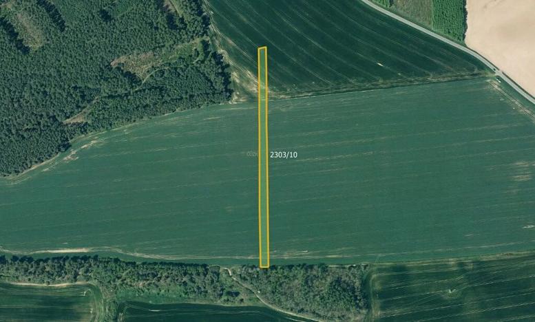 Prodej pole, Třemošná, 9105 m2