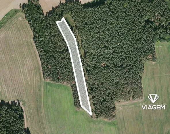 Prodej podílu lesa, Koloveč, 2021 m2