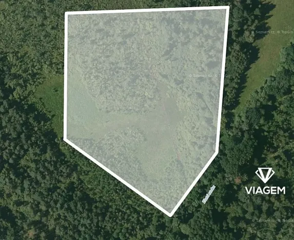 Prodej podílu lesa, Veselí nad Lužnicí, 20552 m2