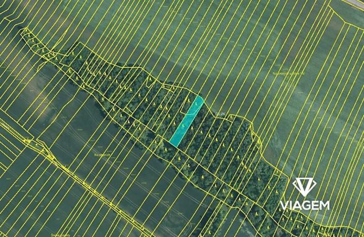 Prodej podílu lesa, Ivančice, 443 m2