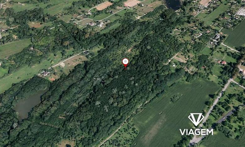 Prodej podílu lesa, Doubrava, 8873 m2