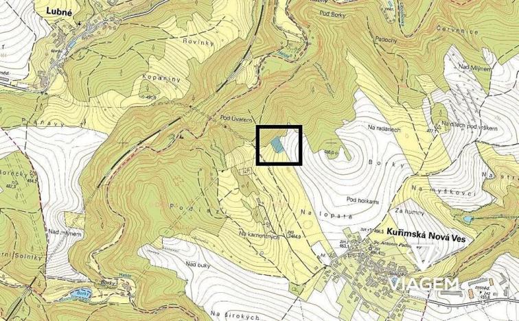 Prodej podílu lesa, Kuřimská Nová Ves, 1166 m2