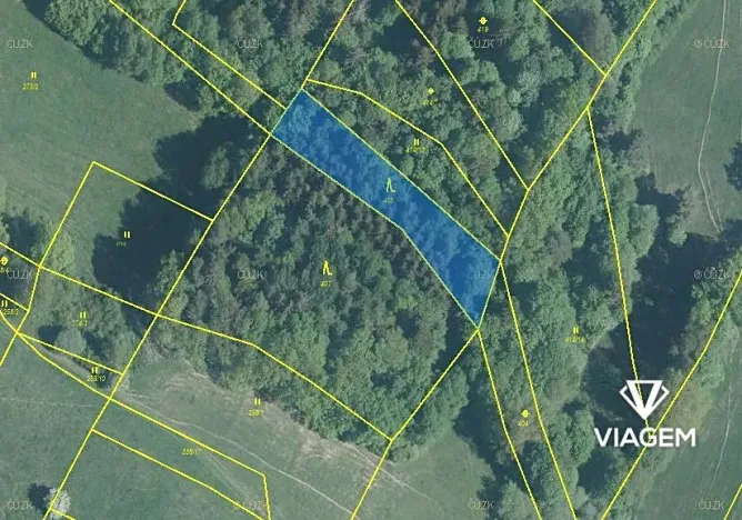 Prodej podílu lesa, Horní Lideč, 662 m2