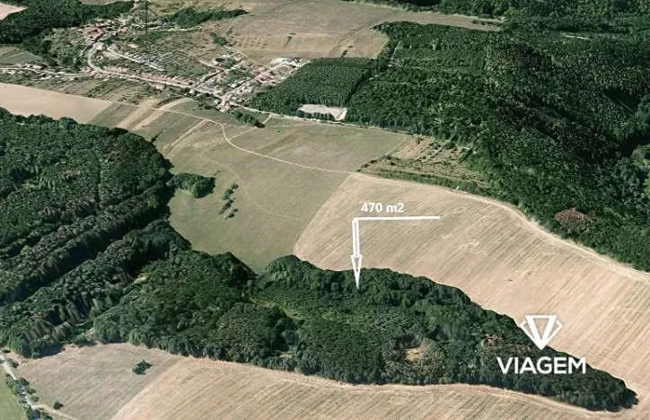 Prodej lesa, Čučice, 470 m2