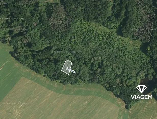 Prodej lesa, Čučice, 470 m2