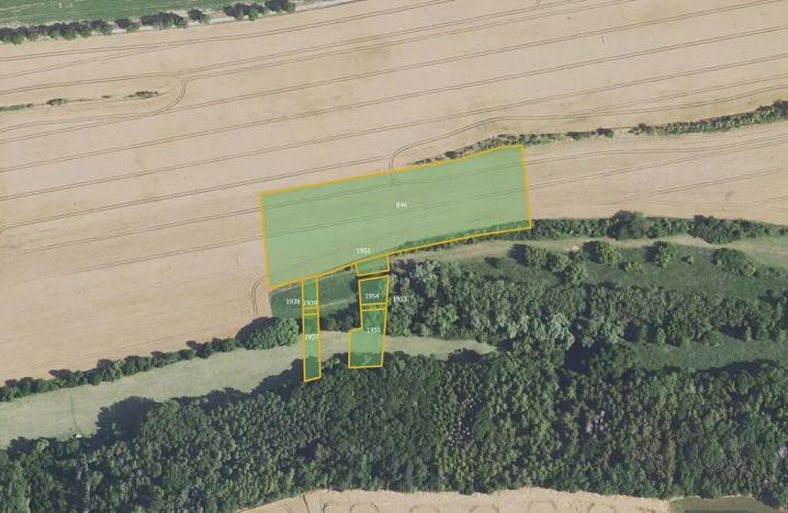 Prodej pole, Dolany, 41267 m2