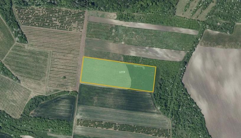 Prodej sadu/vinice, Želkovice, 25655 m2