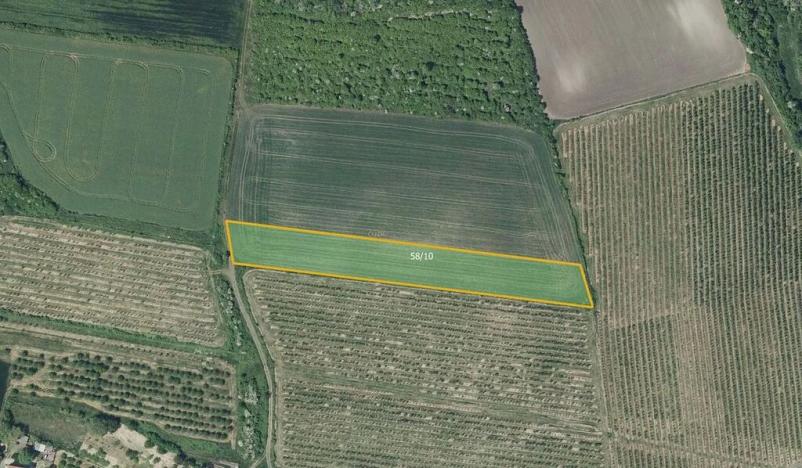 Prodej pole, Želkovice, 7043 m2