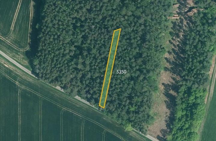 Prodej pole, Slabčice, 77267 m2