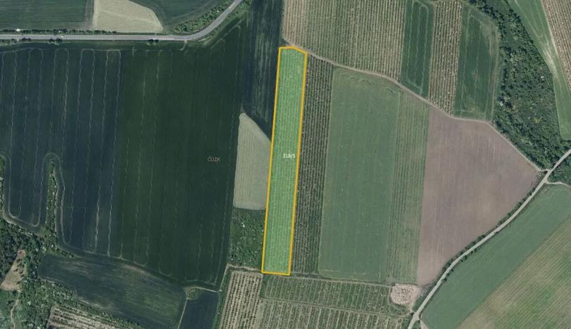 Prodej sadu/vinice, Želkovice, 133318 m2