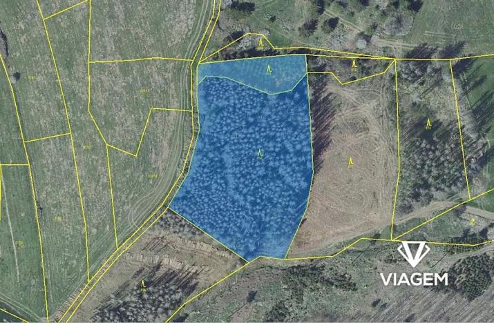 Prodej podílu lesa, Radošovice, 2390 m2