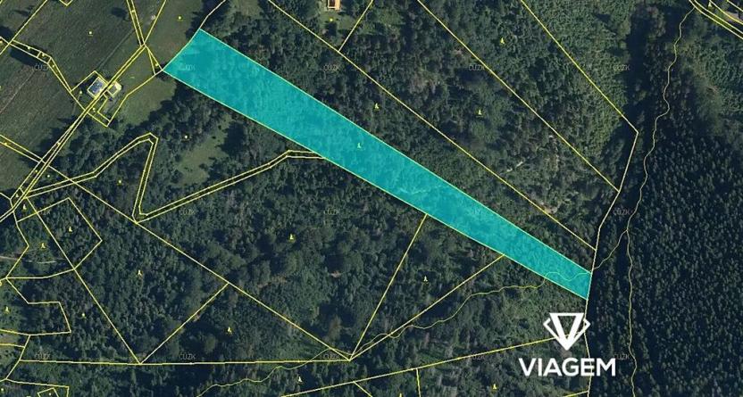 Prodej podílu lesa, Nýdek, 3108 m2