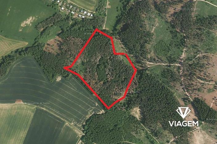 Prodej podílu lesa, Katov, 3762 m2