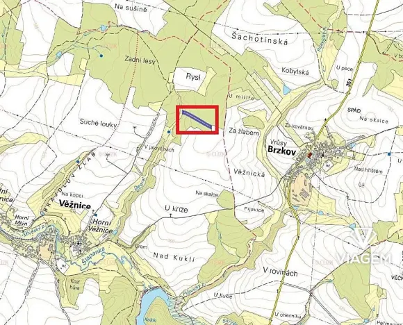 Prodej podílu lesa, Věžnice, 448 m2