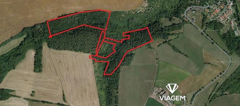 Prodej podílu lesa, Chlum, 8737 m2