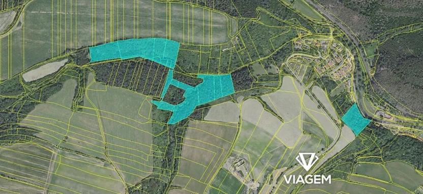 Prodej podílu lesa, Chlum, 8737 m2