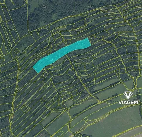 Prodej podílu lesa, Nový Jičín, 3706 m2
