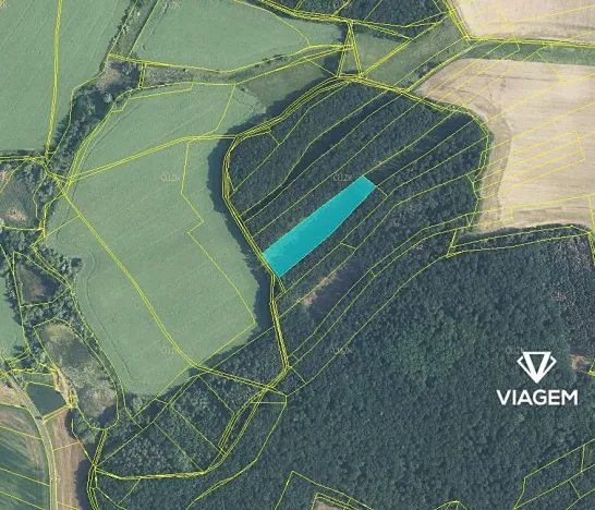 Prodej podílu lesa, Slatiny, 2288 m2