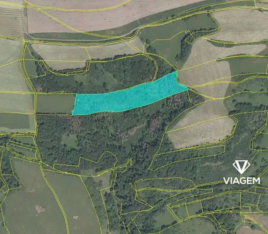 Prodej podílu lesa, Velká Bukovina, 2383 m2