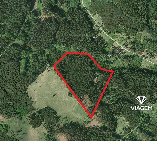 Prodej podílu lesa, Všechovice, 23376 m2