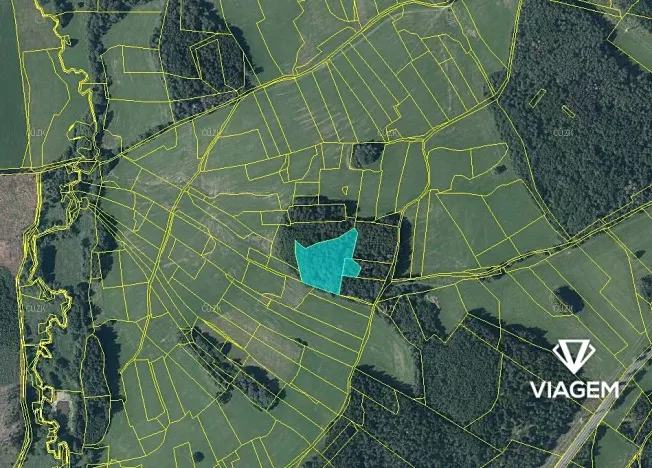 Prodej podílu lesa, Vítanov, 1399 m2
