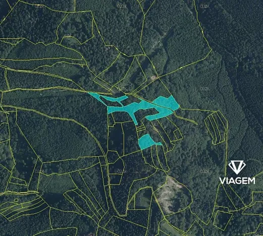 Prodej podílu lesa, Janová, 1920 m2