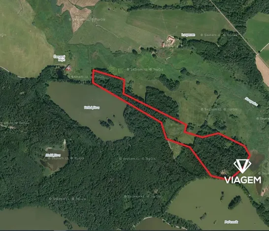 Prodej podílu lesa, Olešnice, 1518 m2