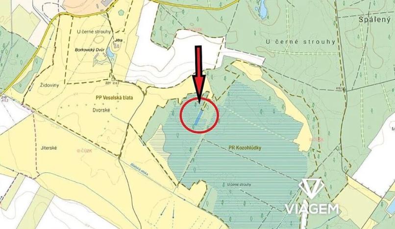 Prodej lesa, Borkovice, 1472 m2