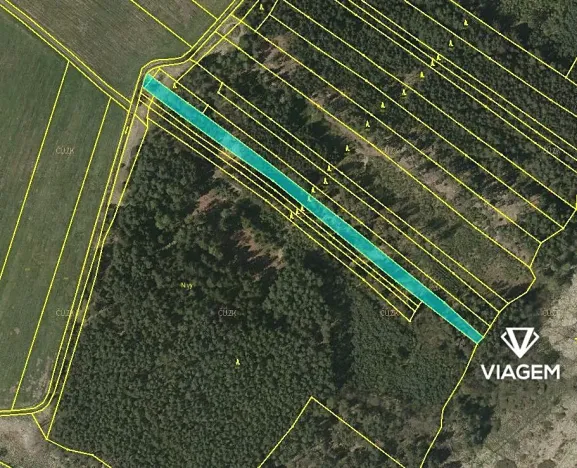 Prodej podílu lesa, Drahov, 3880 m2