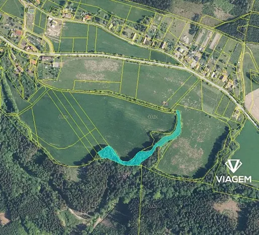 Prodej podílu lesa, Syřenov, 4521 m2